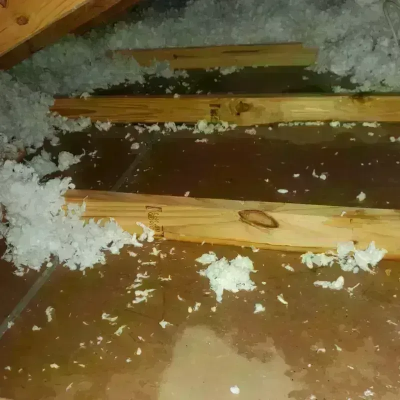 Attic Water Damage in Youngsville, NC