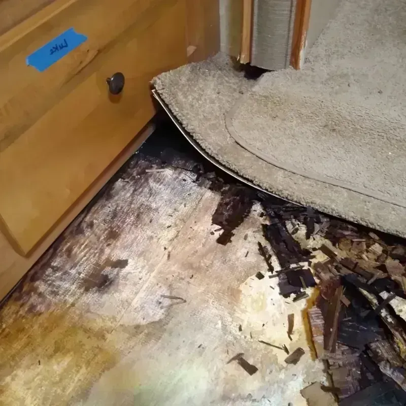 Best Wood Floor Water Damage Service in Youngsville, NC